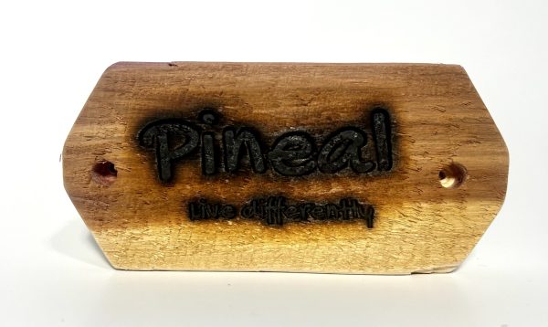 Pineal Trade Station activation kit - Image 2