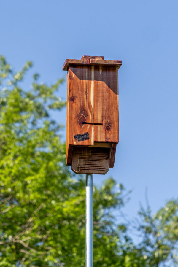 Bat house