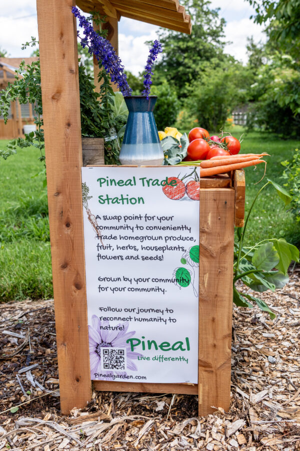 Pineal Trade Station Full Kit - Image 2